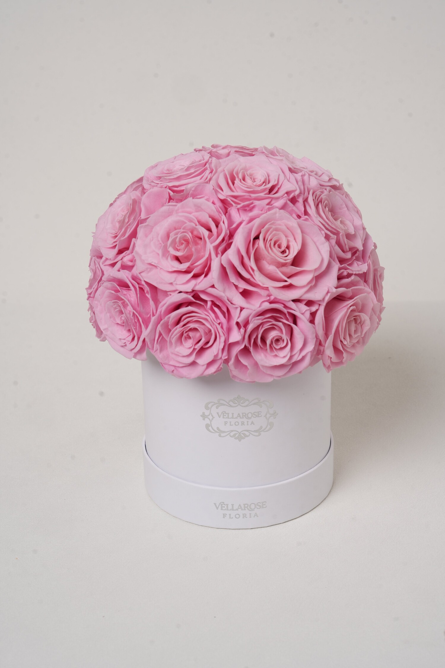 Vellarose Blush Étoile