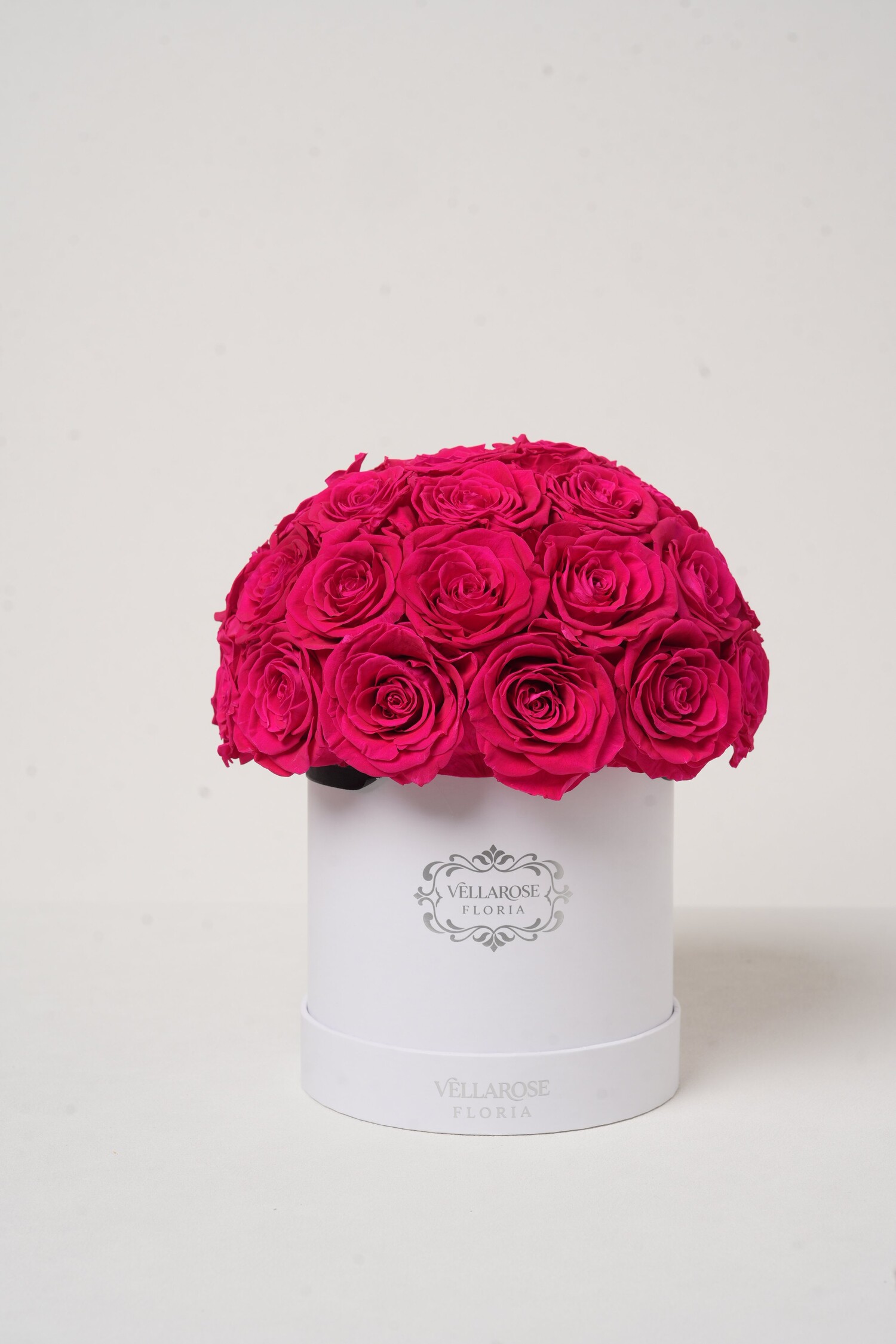 Vellarose Velvet Étoile