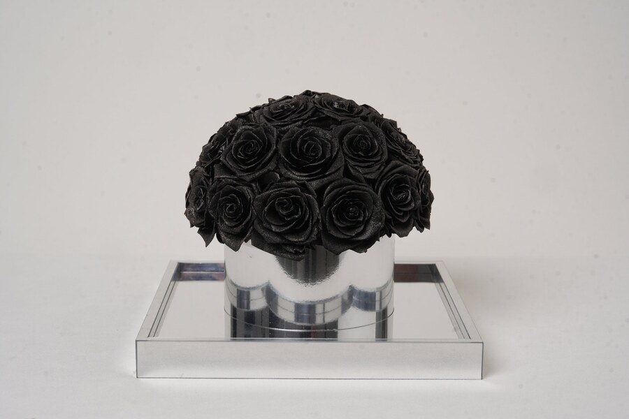 Vellarose Ginza Noir