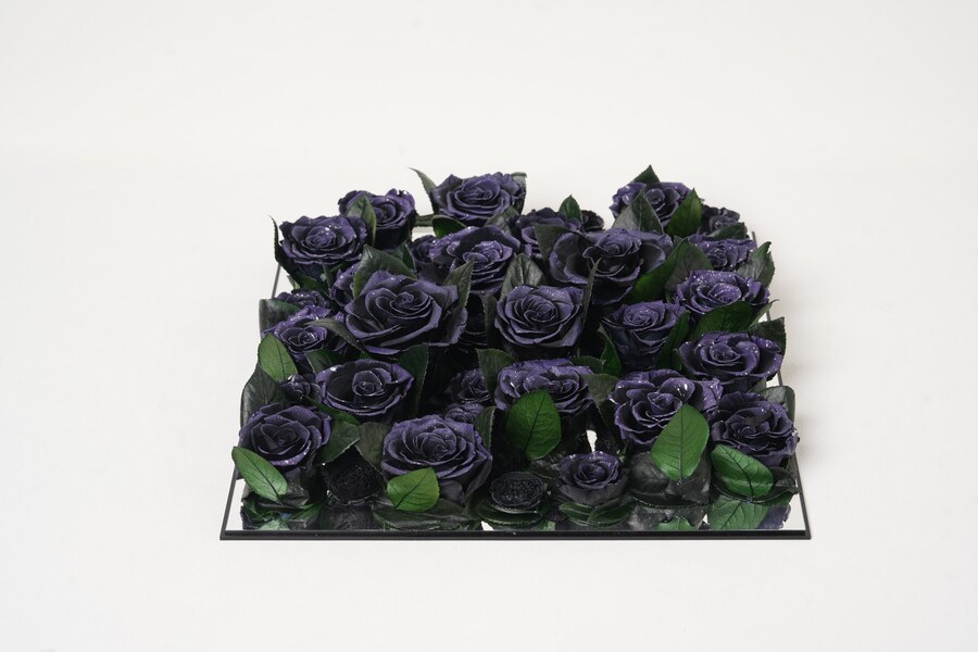 Vellarose Violet Jardin