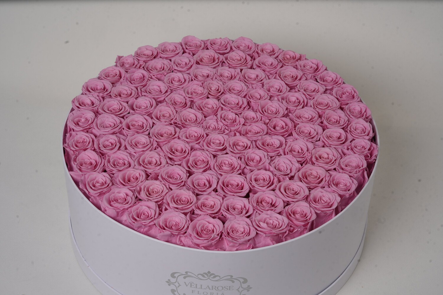 Vellarose Paris Blush