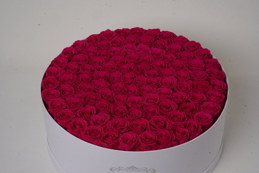 Vellarose Velvet Peony