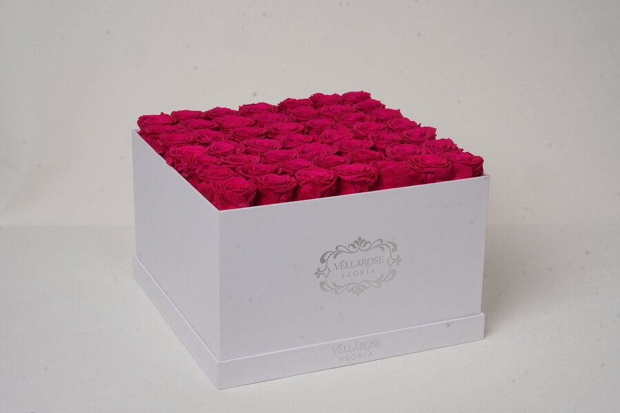 Vellarose Rose Lumière