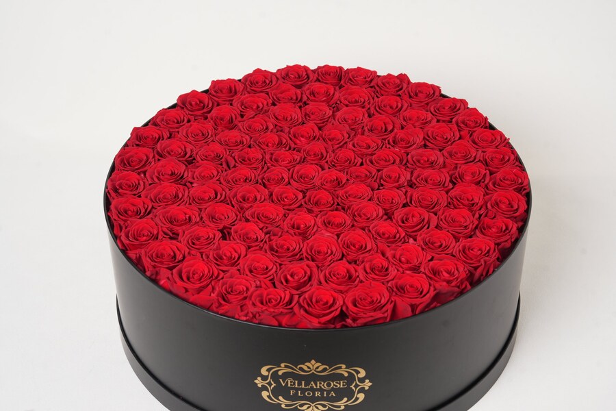 Vellarose Midnight Crimson