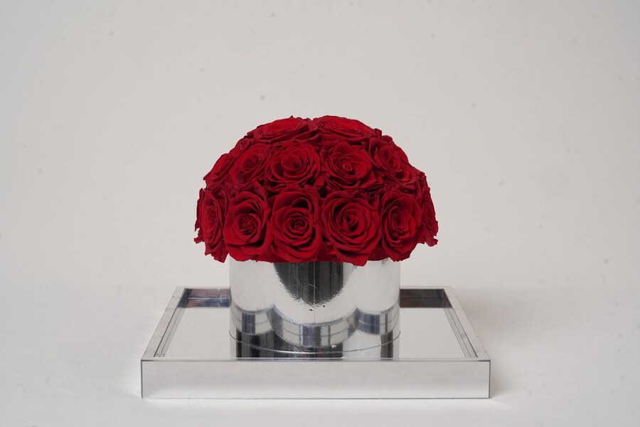 Vellarose Ginza Rouge