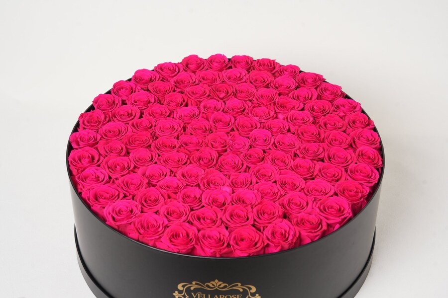 Vellarose Midnight Blush